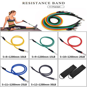 Sweat Resistance Training Bands