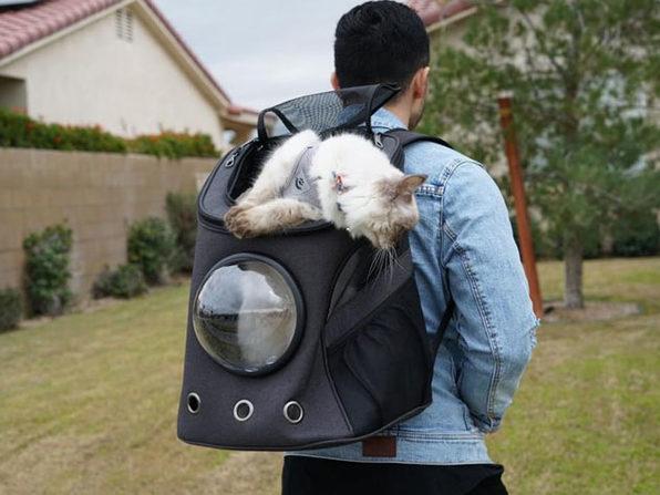 The Fat Cat BackPack For Larger Cats