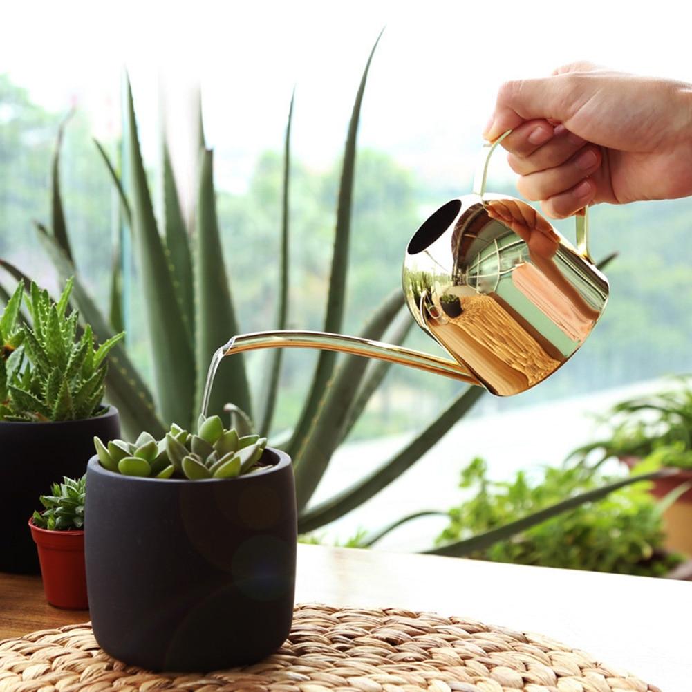 Stainless Steel Long Pout Plant Watering Can
