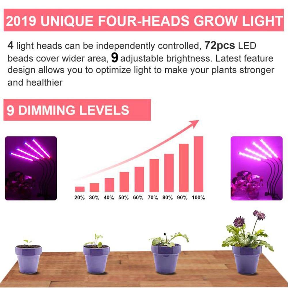 Grow Lights for Indoor Plants