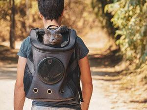 The Fat Cat BackPack For Larger Cats