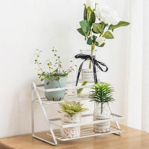 Double Layer Storage Shelf For Condiments Spices
