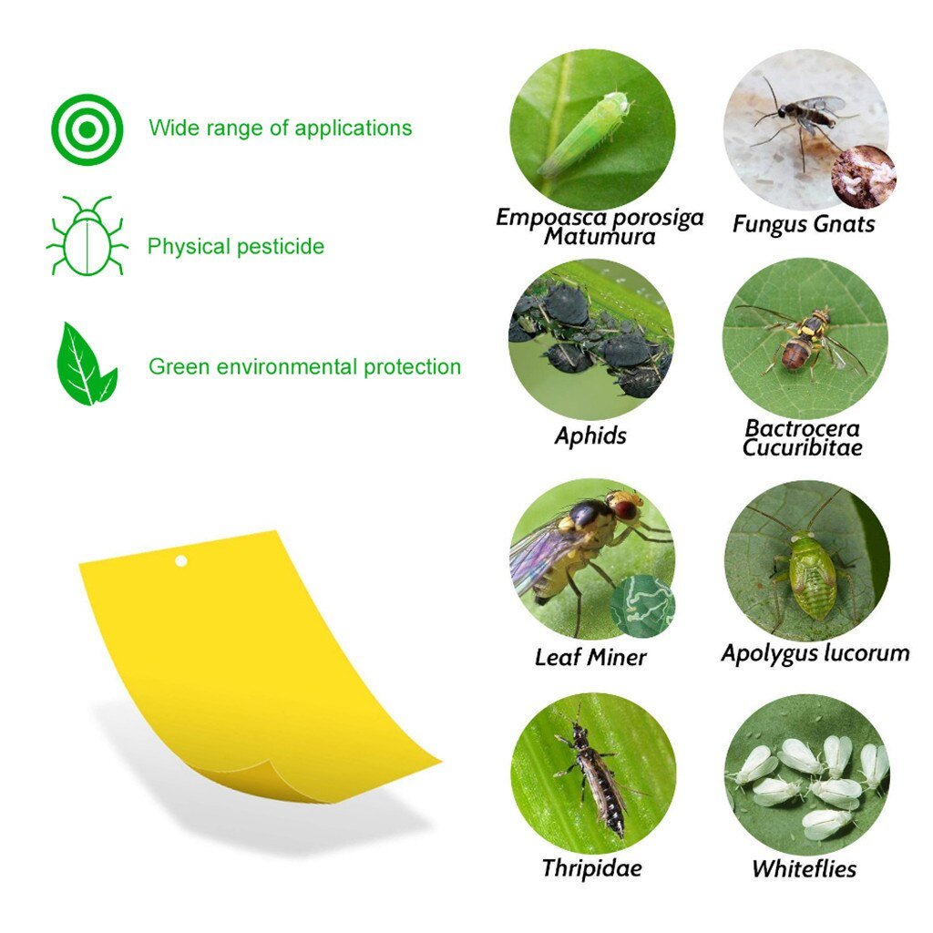 Double Sided Yellow Sticky Trap For Flying Insects