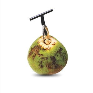 Stainless Steel Coconut Opener Tool