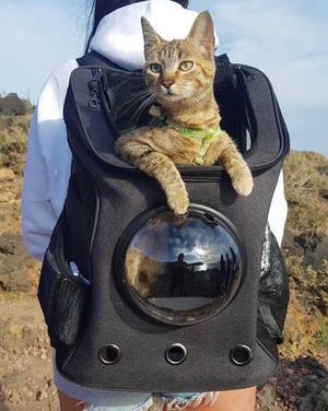 The Fat Cat BackPack For Larger Cats