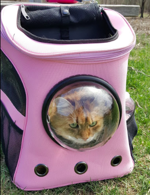 The Fat Cat BackPack For Larger Cats