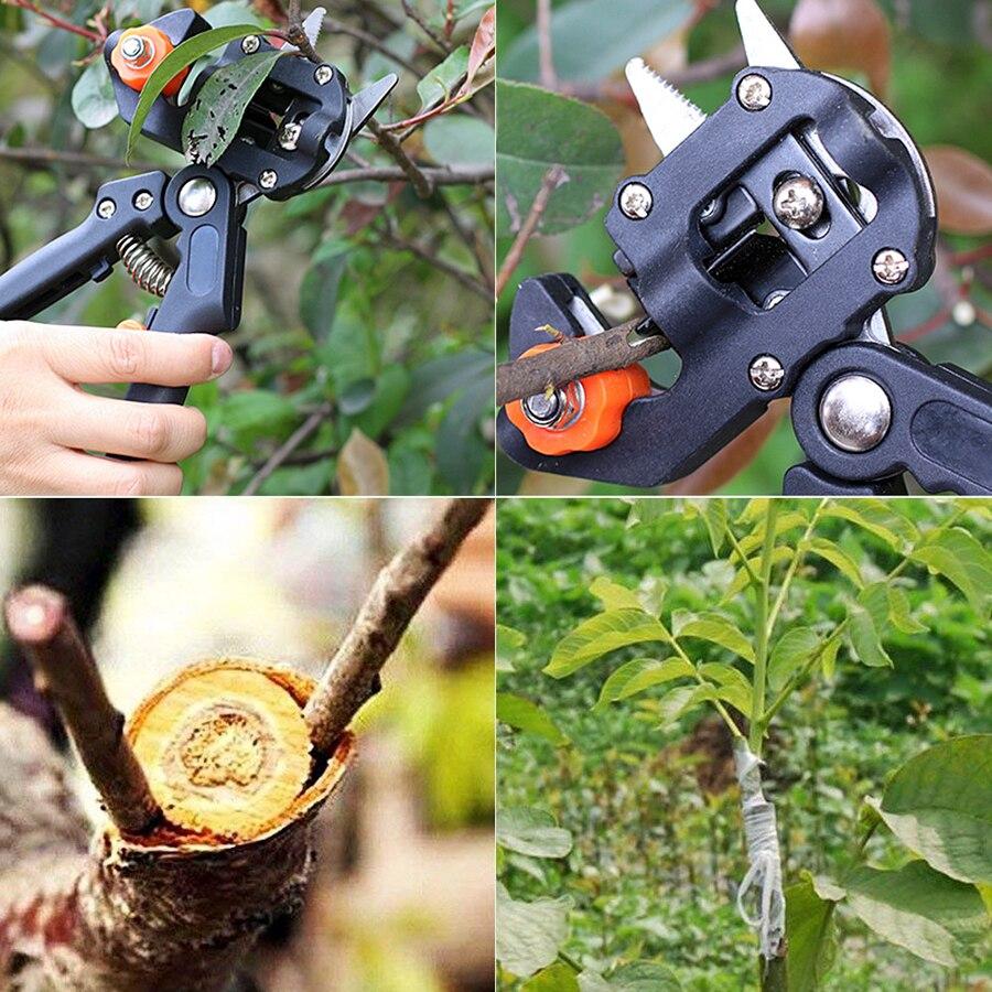 Professional Garden Grafting & Cutting Tool