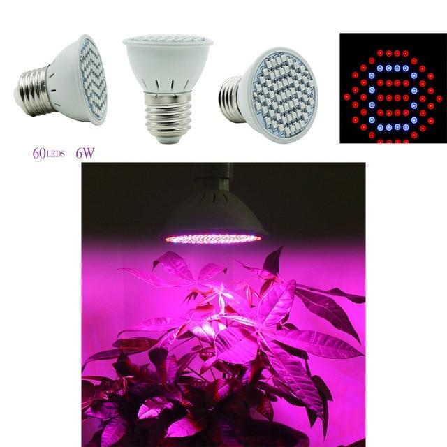 Grow Lights for Indoor Plants