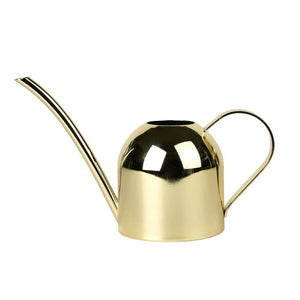 Stainless Steel Long Pout Plant Watering Can