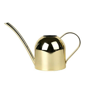 Stainless Steel Long Pout Plant Watering Can