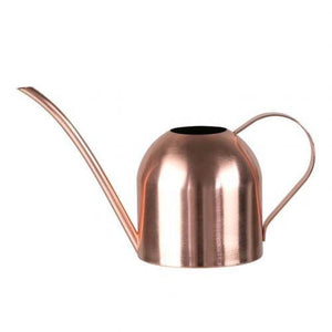 Stainless Steel Long Pout Plant Watering Can