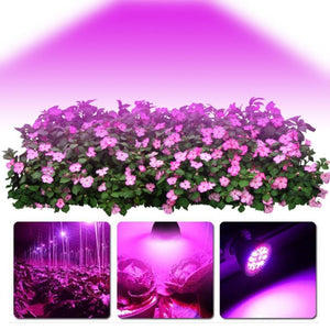 220 V LED Full Spectrum Plant grow light