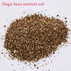 Special Nutrition Soil Bean