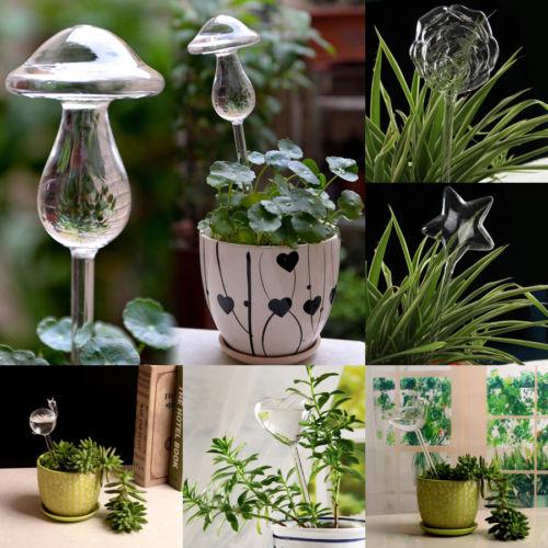 Self-Watering Plant Glass Bulbs